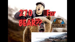 .270 Winchester for everything in Alaska: Including big bears??