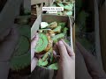 Packing bolu gulung pandan #youtubeshorts #shorts #food