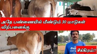 அதே பண்ணையில் மீண்டும் 30 மாடுகள் விற்பனைக்கு || #radhakrishnanfarms