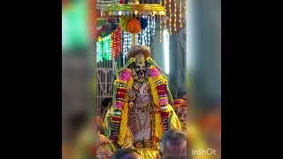 srirangam  பரமபத வாசல் திறப்பு ஸ்பெஷல்