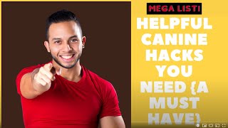 HELPFUL CANINE HACKS YOU NEED | THE MEGA LIST OF CANINE HACKS!