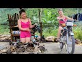 TIMELAPSE :150 minutes Genius girl repairs and restores motorbike engines of many people