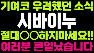 시바이누 코인 - 🔥기여코 우려했던 소식입니다..🔥여러분 큰일났습니다 여러분 이 영상은 꼭 보세요