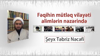 Fəqihin mütləq vilayəti alimlərin nəzərində - Şeyx Təbriz Nəcəfi