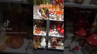 Przegląd jesiennych dekoracji KiK #zakupy #shopping #tanio  #jesień #autumn #kik #dekoracje #nowosci