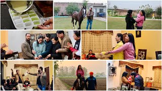 My healthy routine away from home| Relaxing vacation| Horse riding| Meeting new born