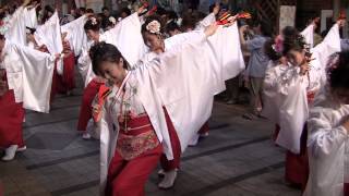 2012 高知よさこい祭り 本祭1日目 ひとひら はりまや橋競演場