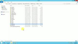 How to Move MDF & LDF files From One Drive to Other