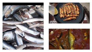 மத்தி மீன் குழம்பும் வறுவலும் /village logi life ❤️#food # fish#recipe # cooking