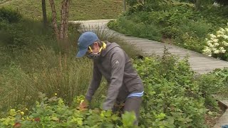 Neighborhood volunteers continue park cleanup at safe distance