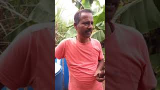 Sh Iranagouda patil sir about amazing results of gaukripa amrutam on Banana and Sugarcane