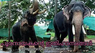 പൂരനായകന്റെ  ഇതിഹാസങ്ങൾ - thiruvambady chandrasekharan story@aanayumaanavandiyumyathrakalum