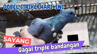 HAMPIR TRIPLE BANDANGAN HARI INI, SAYANG YANG TERAKHIR KABUR. PADAHAL SUDAH SELESAI BERJAMAAH ISYA