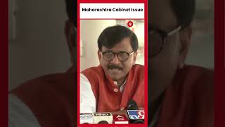 Shiv Sena MP Sanjay Raut on Guardian Minister Posts