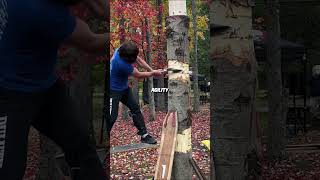 This Lumberjack’s Skill is Insane (@turbotomlancaster)