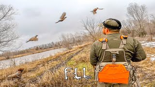 INSANE PHEASANT and QUAIL hunting in the SNOW!!