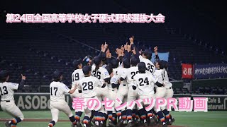 春のセンバツPR動画｜第24回全国高等学校女子硬式野球選抜大会