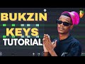 How To Produce Bukzin Keys Style Amapiano Beats 