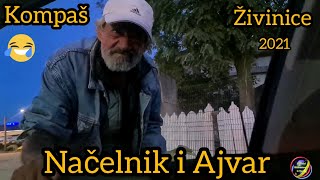 Kompaš // Načelnik i Ajvar // Živinice 🤣🤣