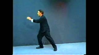 Yang Style Tai Chi Long Form - Exploring for Exercise and Fun - Part 1