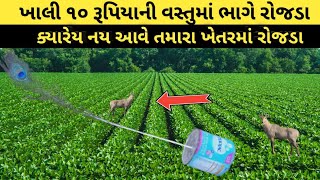 100 રૂપિયાના ખર્ચે રોજડાને આવતા રોકો || મકાઈ, કપાસ, મગફળી, બાજરી વગેરેમાં રોજડા ના નુકશાન ને રોકો