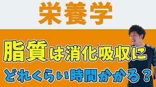 【栄養学】脂質は消化吸収にどれくらい時間がかかるのか？