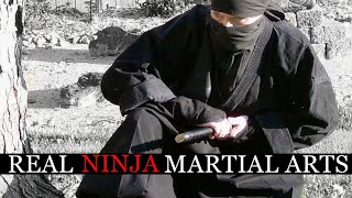 A Discussion on REAL Ninja Martial Arts Training | Historical Ninjutsu Techniques (Ninpo)