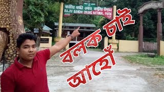 Orang national park || ওৰাং ৰাষ্ট্ৰীয় উদ্যানলৈ বলক || দ্বিতীয় বৃহৎ ৰাষ্ট্ৰীয় উদ্যান