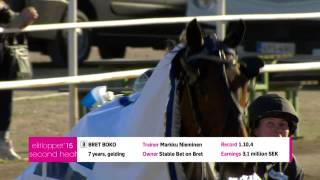 Elitloppet 2015 Heat #2 (Race 9) Preview of all Horses