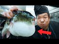 Comí el Pescado más Venenoso del Mundo en Japón