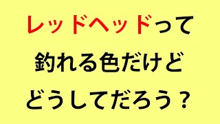 レッドヘッドってなんだろう？？