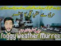 Murree live mall road murree map murree update murree roads #murreemallroad #murreelive09- AUG-2024