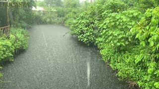 Heavy Rain Like a Storm in Garden Pond with Strong Thunder - Torrential Rain Sounds for Sleeping