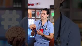 How do pills know where to go in the body?