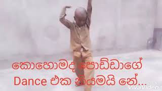 How is Podda's Dance Perfect ...| කොහොමද පොඩ්ඩාගේ  Dance එක නියමයි නේ...