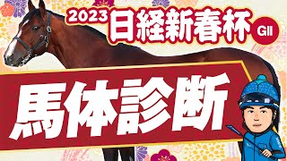 【日経新春杯 2023】伝統のハンデ重賞！適性\u0026仕上がり抜群の◎イチオシ馬で勝負！某大手牧場の元スタッフが見抜く重賞馬体診断！重賞フォトパドック【競馬 予想】