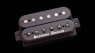 EMG 81 vs Seymour Duncan Black WInter   ( BRIDGE PICKUPS )