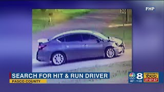 FHP searching for sedan following fatal hit-and-run in Pasco County