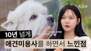 애견미용사 현실.. 폭풍 공감되는 애견미용의 장단점🥺 | 김남경 원장님 | 흑조 인사이트 clip.6