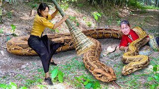 Horrified to discover ethnic girl facing giant python monster in the rainforest | Mountain-VN