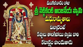 మంగళవారంరోజు శ్రీ నెట్టికంటి ఆంజనేయ స్వామిమధురామృతాలు విన్నారంటే స్వామి వారి కటాక్షం పొందుతారు