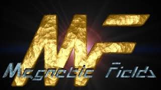 Magnetic Fields (video game developer) | Wikipedia audio article