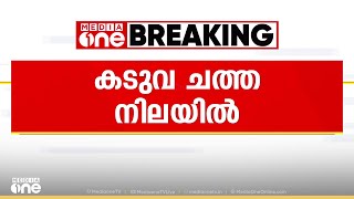 വയനാട് കുറിച്യാടിൽ വീണ്ടും കടുവ ചത്ത നിലയിൽ; മറ്റൊരു കടുവ ആക്രമിച്ചതെന്ന് നി​ഗമനം