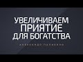 Увеличиваем приятие для богатства. Александр Палиенко.