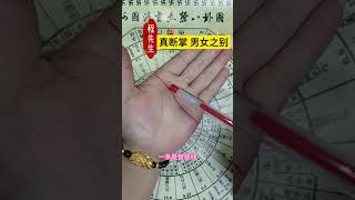 🔥真斷掌的財運 🤚☯看看是不是跟你一樣的手紋，#palmistry  #手相