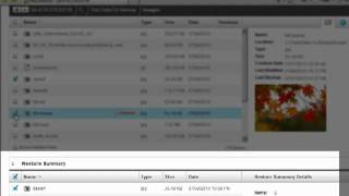 MozyPro - Web Restore and Restore Manager