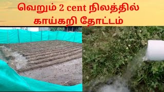 2 cent காய்கறி தோட்டம்( vegetable gardening in 2 cent)