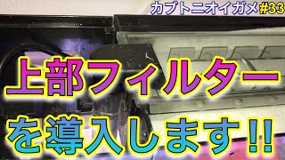 【カブトニオイガメ】飼育31 上部フィルターを導入します‼︎