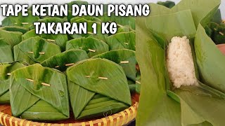 CARA MEMBUAT TAPE KETAN BUNGKUS DAUN PISANG YANG BENAR ENAK ANTIGAGAL HASILNYA MANIS DAN MENYUS