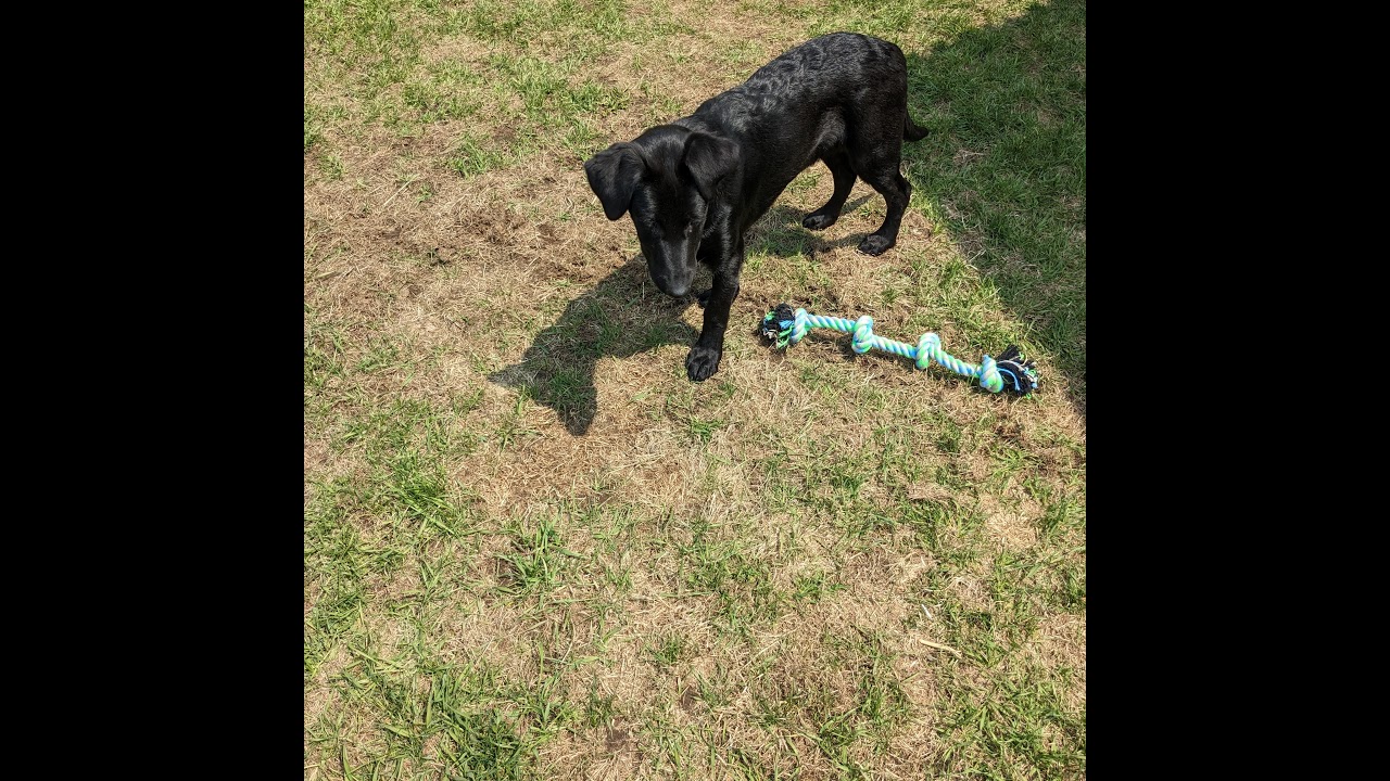 1v1ing Viewers Youtube